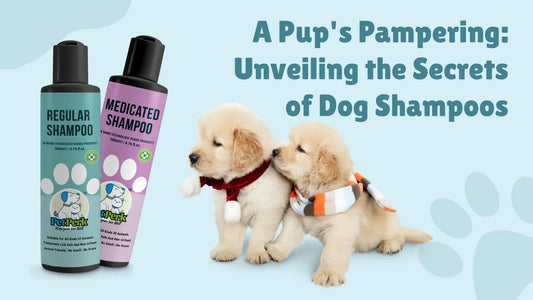 A Pup’s Pampering: Unveiling the Secrets of Dog Shampoos