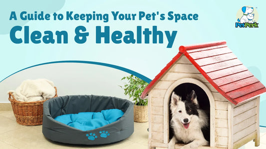 A Guide to Keeping Your Pet’s Space Clean and Healthy