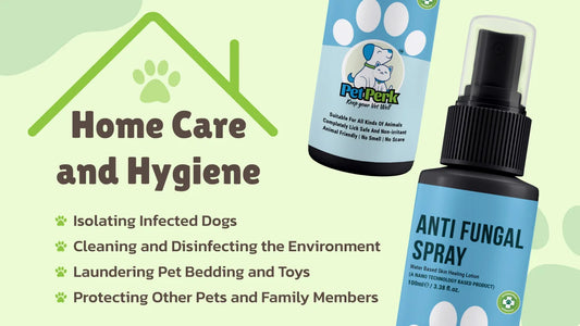 When Fungi Attack: A Comprehensive Look at Dog Infections